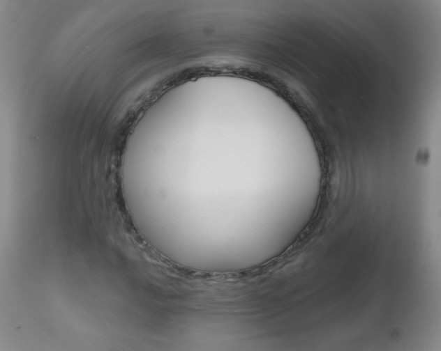 X0000112521016200908171107
