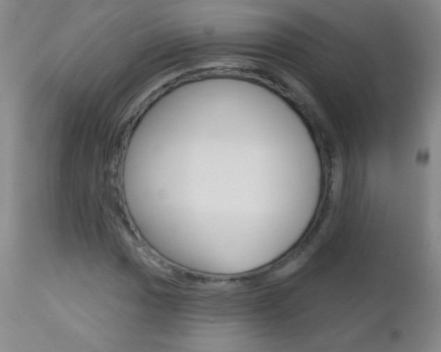 X0000112521017200908171107