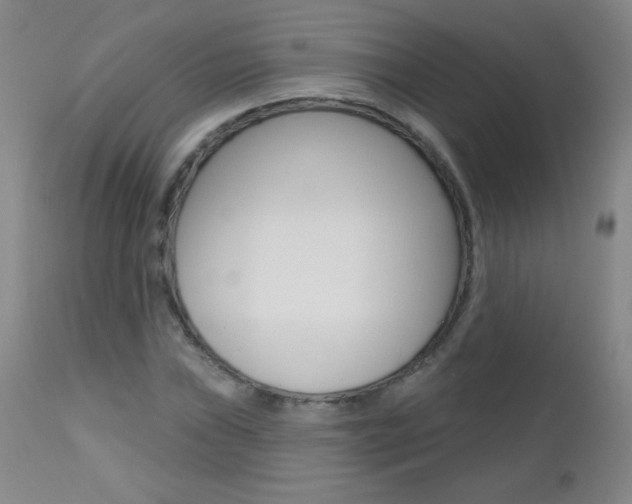 X0000112521019200908171107