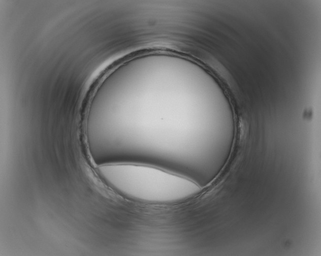 X0000112521020200908171107