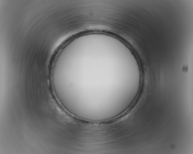 X0000112521022200908171107