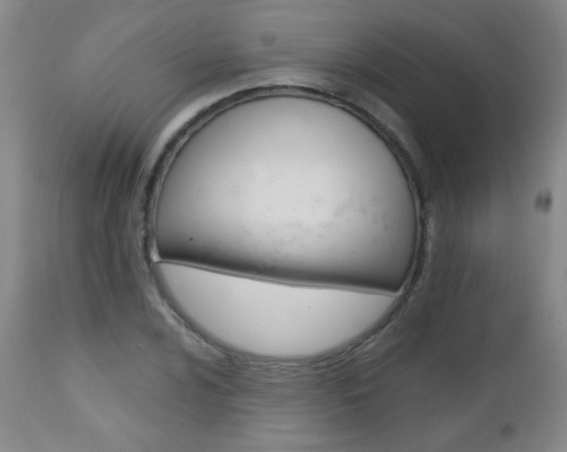 X0000112521024200908171107