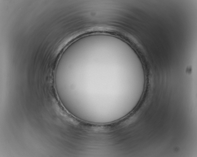 X0000112521025200908171107