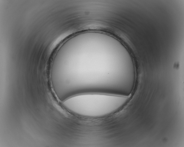 X0000112521026200908171107