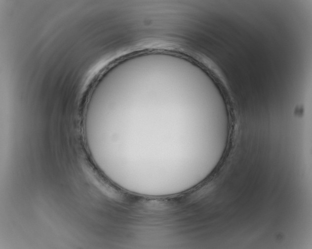 X0000112521027200908171107