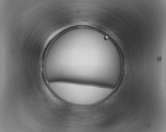 X0000112521028200908171107