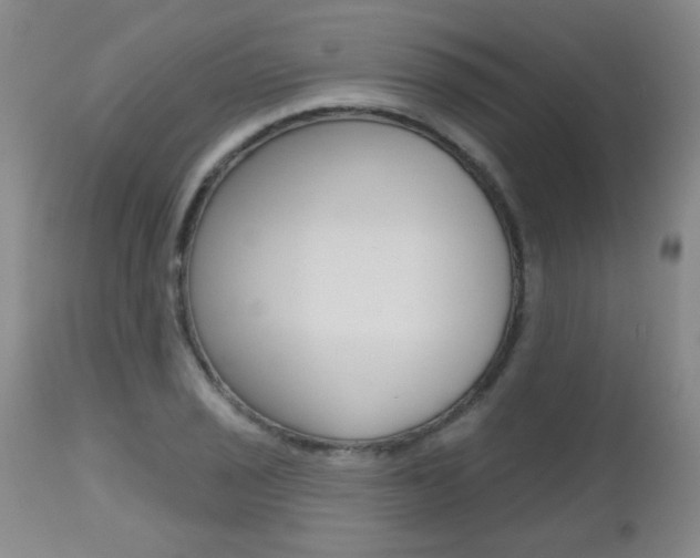 X0000112521029200908171107