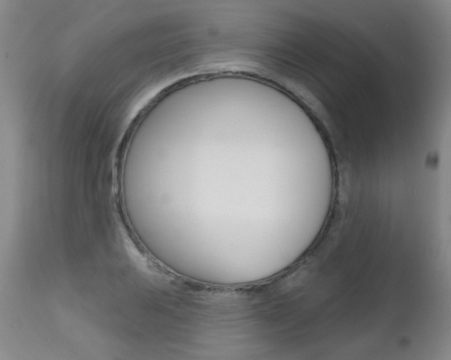 X0000112521031200908171107