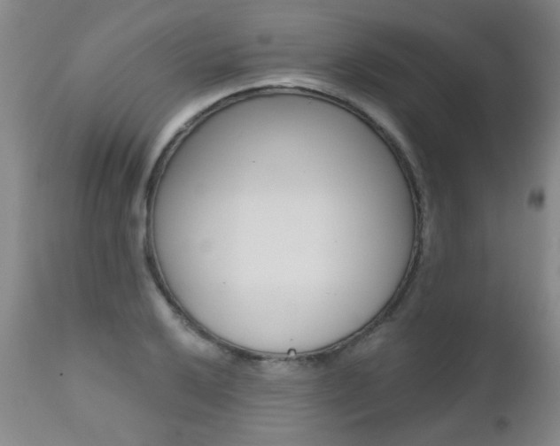 X0000112521032200908171107