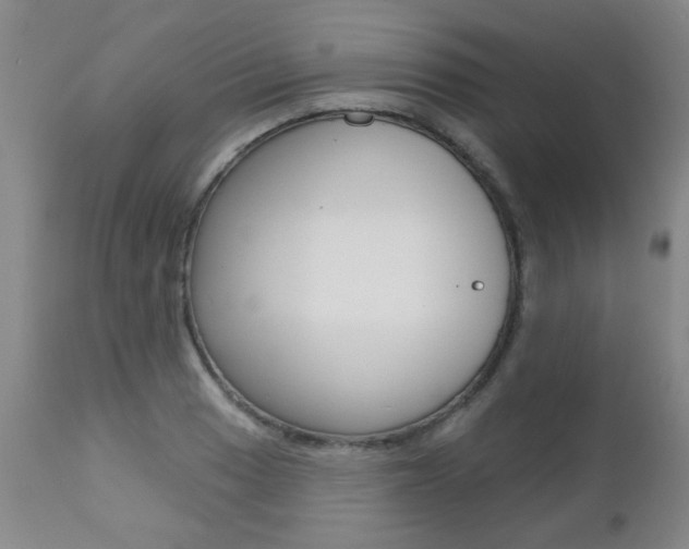 X0000112521033200908171107