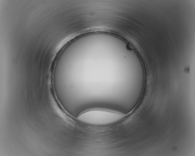 X0000112521034200908171107