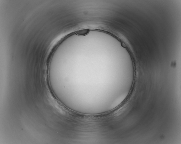 X0000112521035200908171107