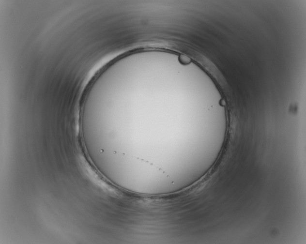 X0000112521036200908171107