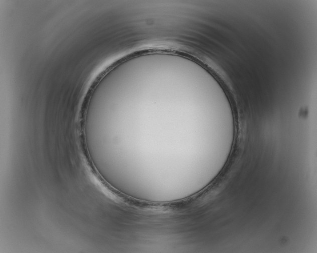 X0000112521037200908171107