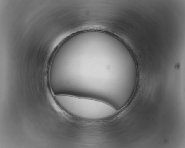 X0000112521038200908171107