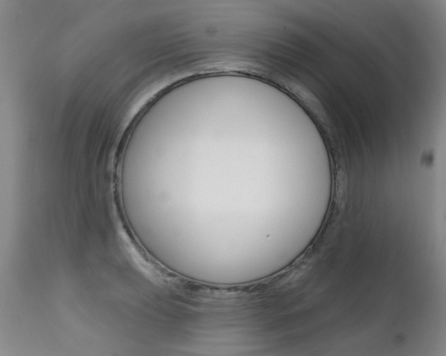 X0000112521039200908171107