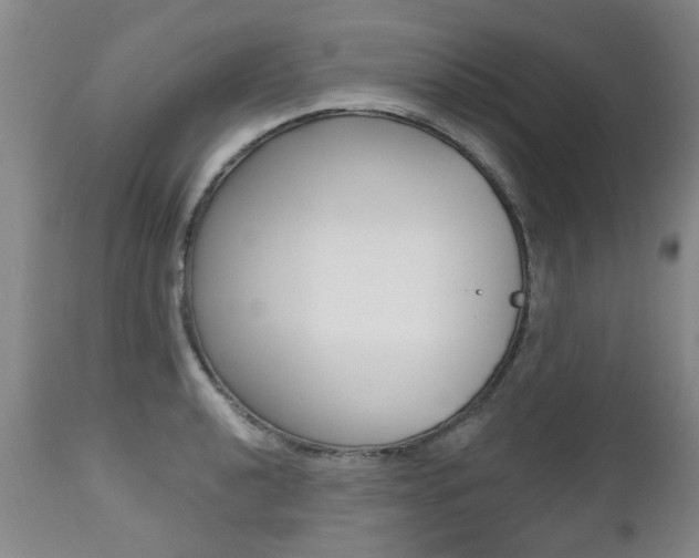 X0000112521040200908171107
