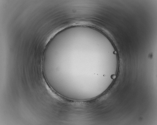 X0000112521041200908171107