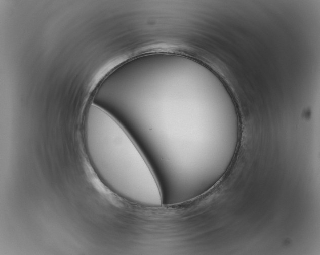X0000112521042200908171107