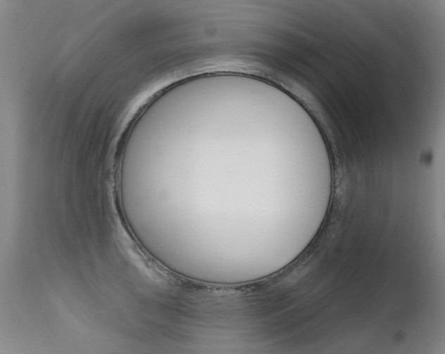 X0000112521043200908171107