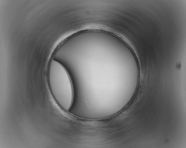 X0000112521045200908171107
