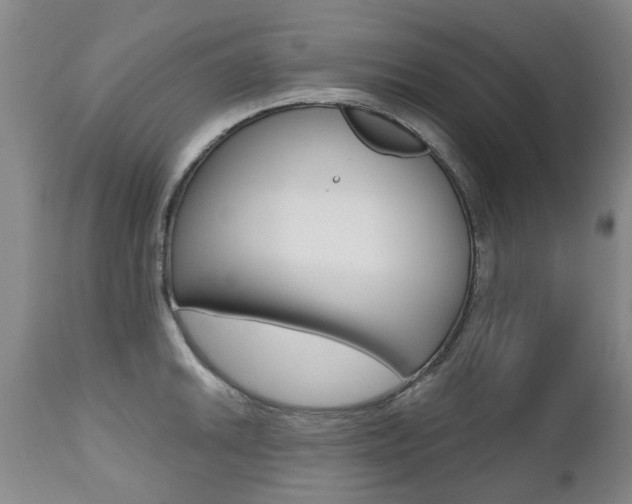 X0000112521046200908171107