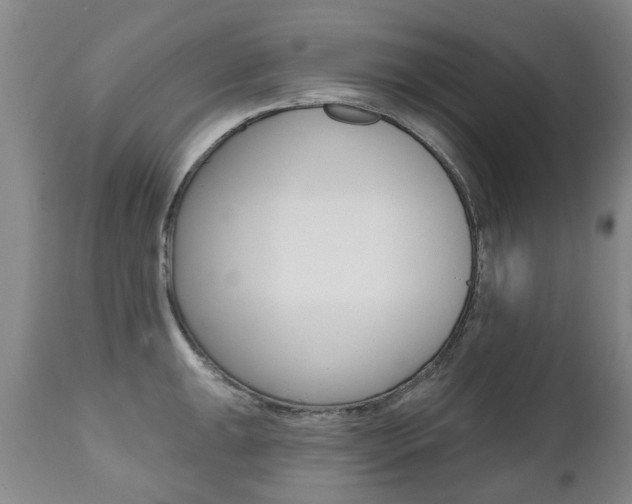 X0000112521047200908171107