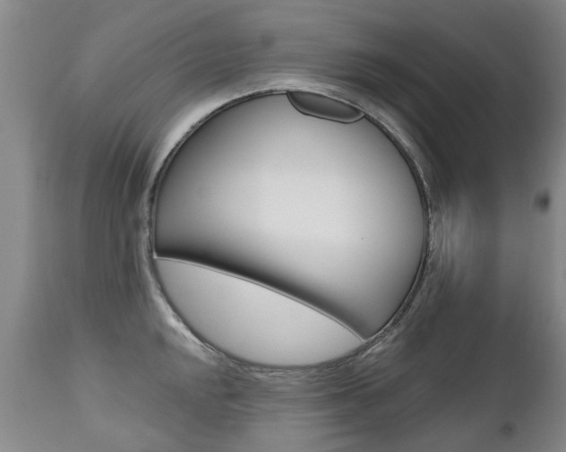 X0000112521048200908171107