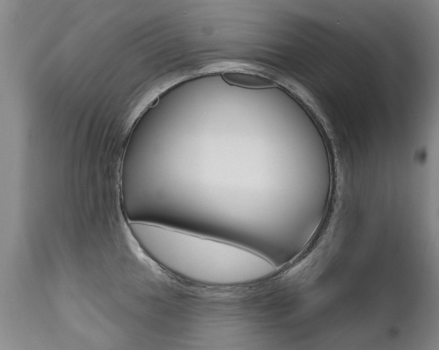 X0000112521049200908171107