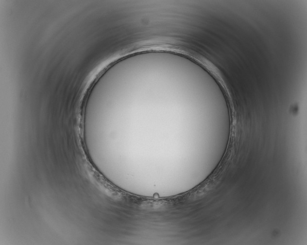 X0000112521051200908171107