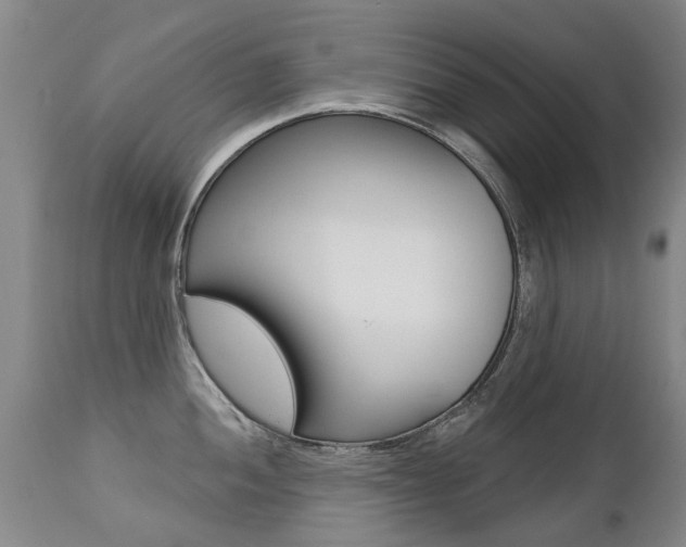 X0000112521052200908171107