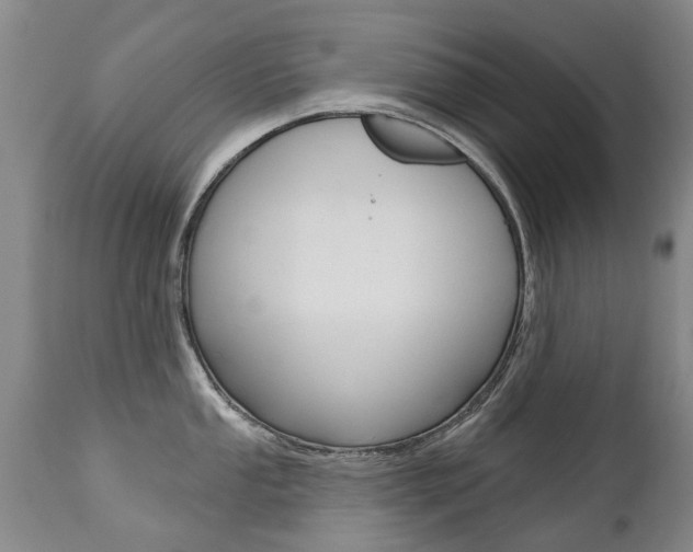 X0000112521053200908171107