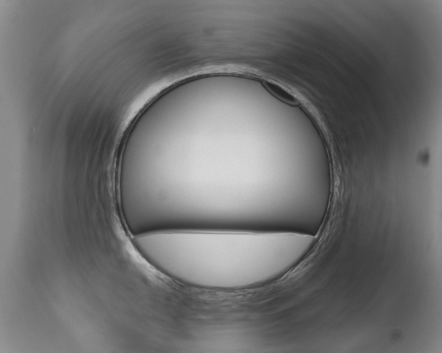 X0000112521054200908171107