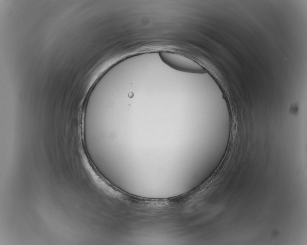 X0000112521055200908171107
