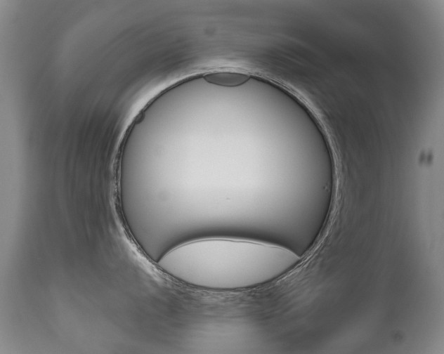 X0000112521056200908171107