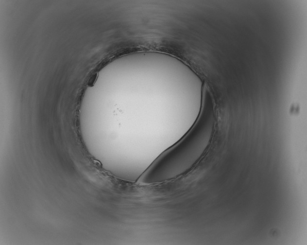 X0000112521057200908171106