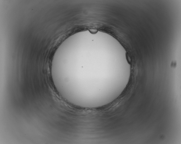 X0000112521058200908171106