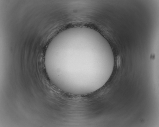 X0000112521059200908171106
