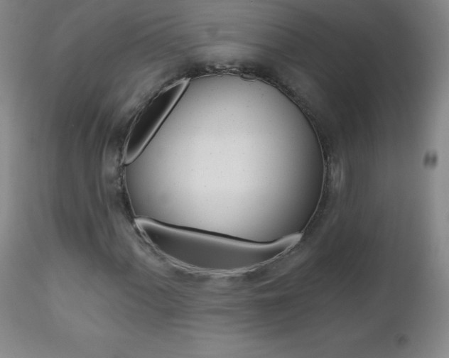 X0000112521060200908171106