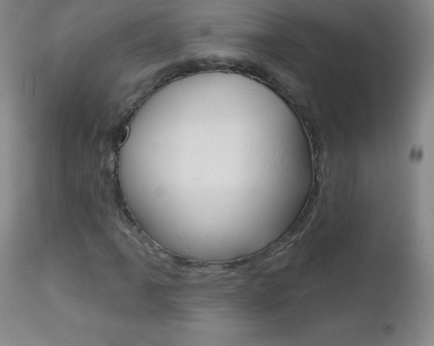 X0000112521061200908171106