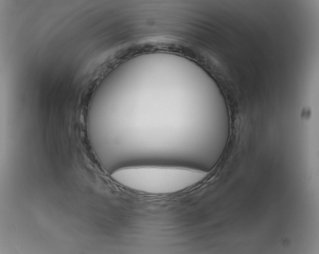 X0000112521062200908171106