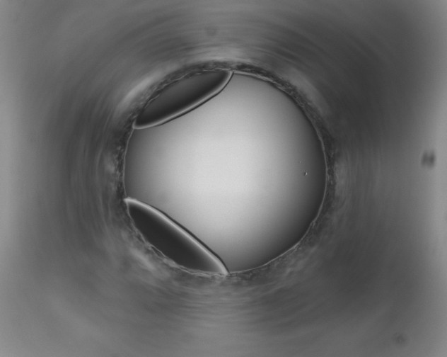 X0000112521064200908171106