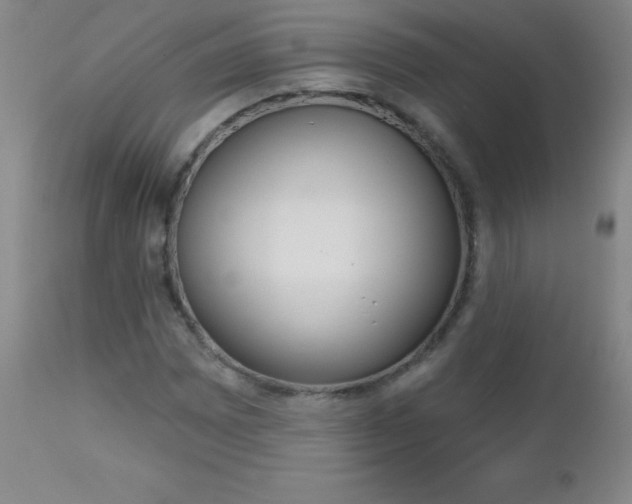 X0000112521065200908171106
