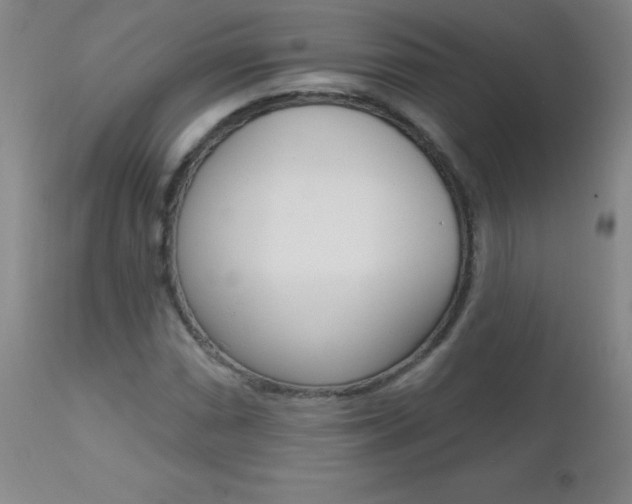 X0000112521066200908171106