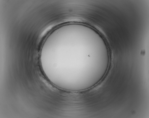 X0000112521067200908171106