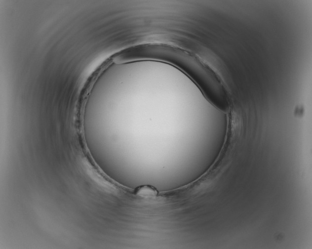 X0000112521068200908171106