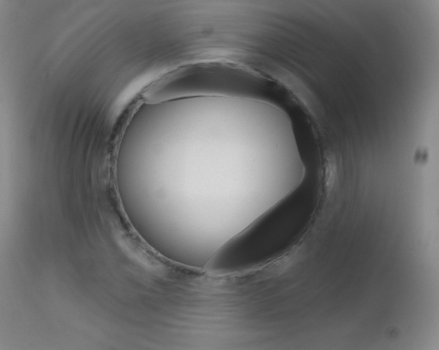 X0000112521069200908171106