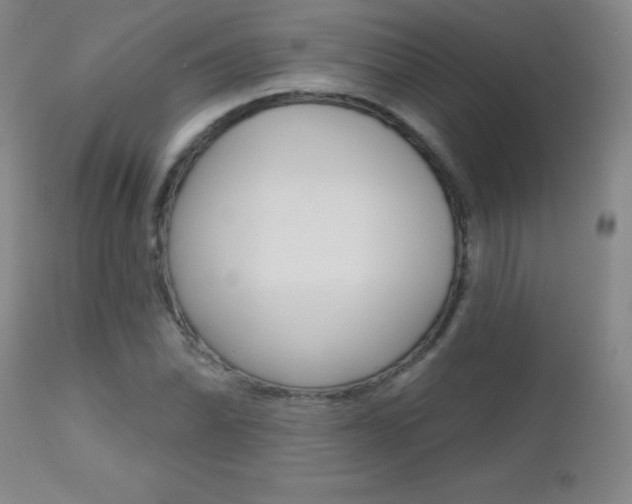 X0000112521070200908171106