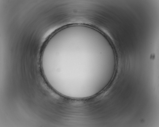 X0000112521071200908171106