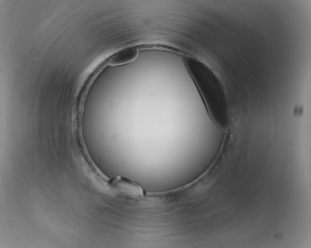 X0000112521076200908171106